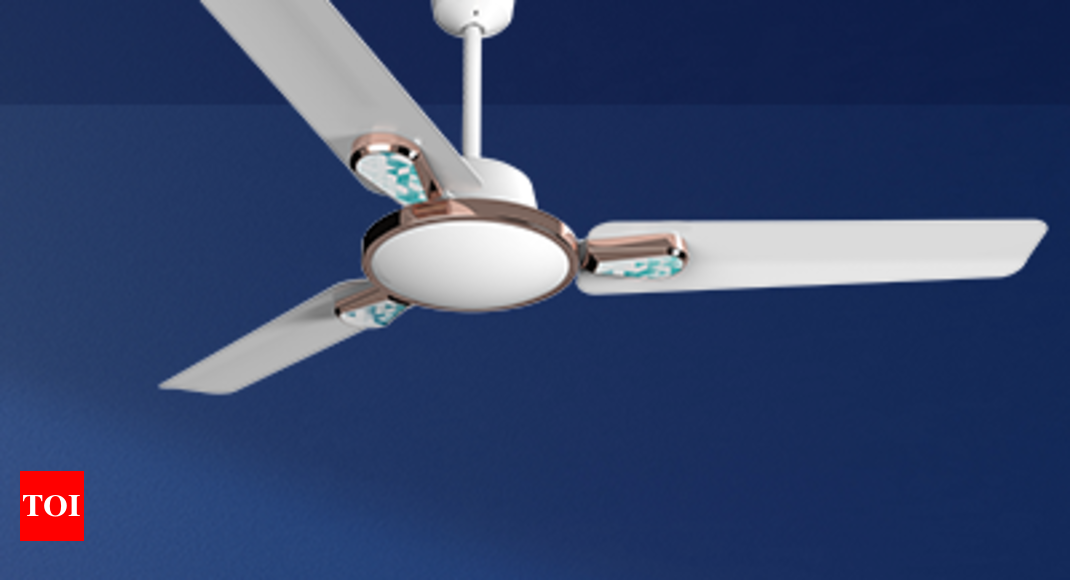 Crompton S Energion Bldc Fans Bring, Title Fight Head In The Ceiling Fan Meaning