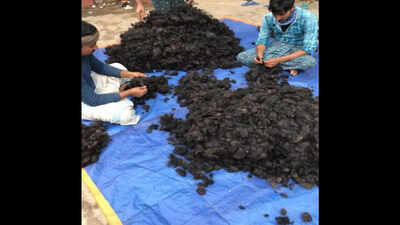 human hair traders