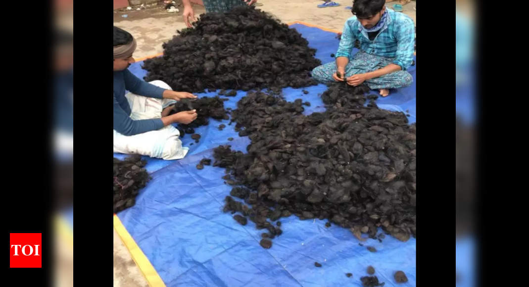 Traders take B'desh route to smuggle human hair to China