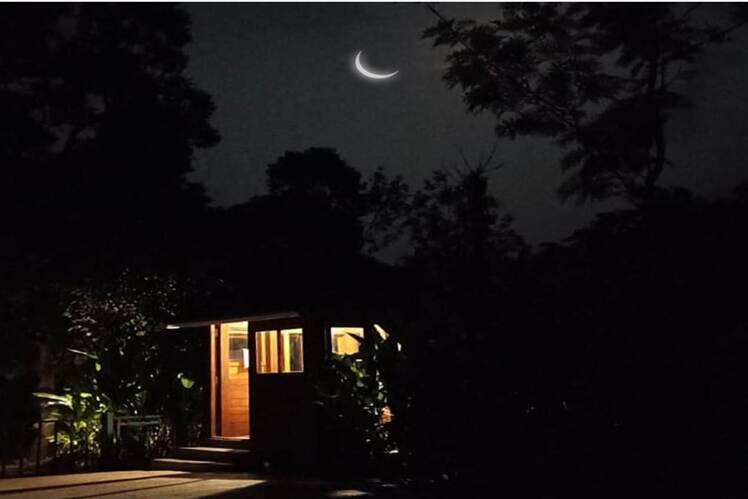 ​The Tamara Coorg