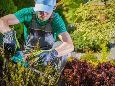 10 gardening mistakes you didn't know you were making