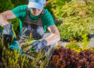 10 gardening mistakes you didn't know you were making