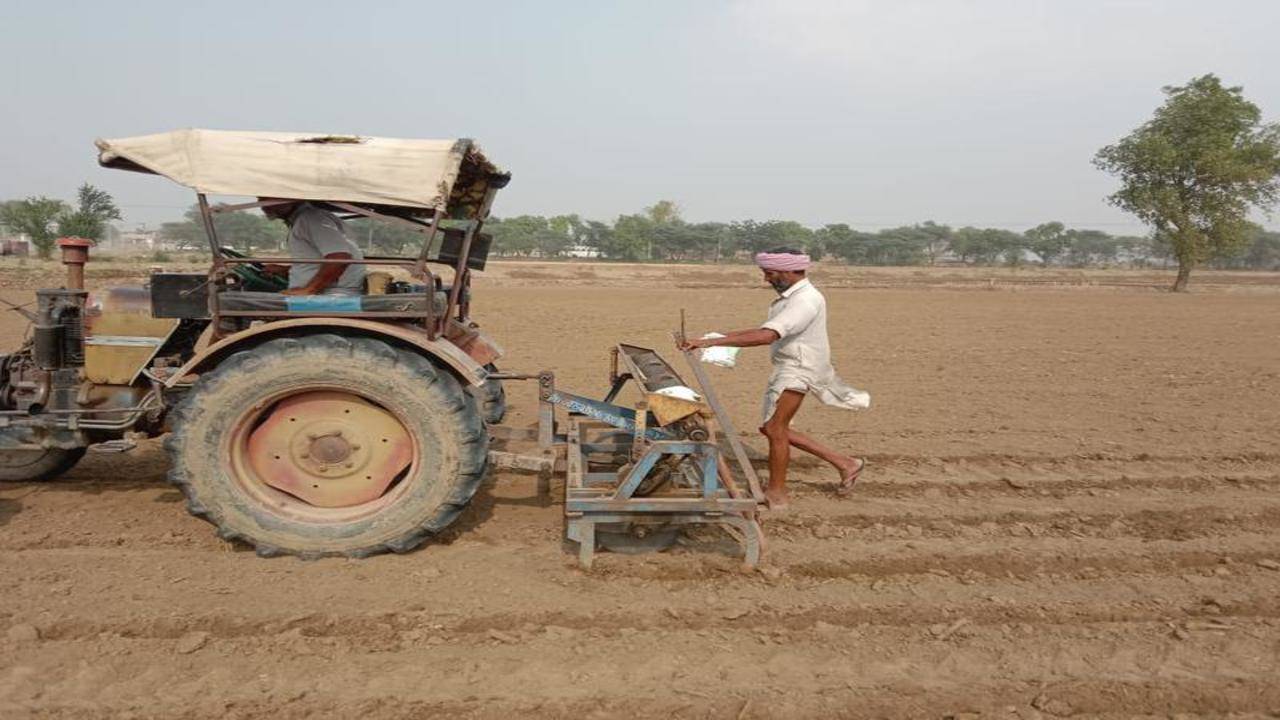 Prospect of delayed cotton sowing unnerves farmers - Business