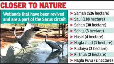 Mainpuri’s Sarus circuit to be major attraction for eco-tourists