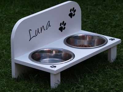 Dog bowl sets: Serve food & water together for the convenience of your pet