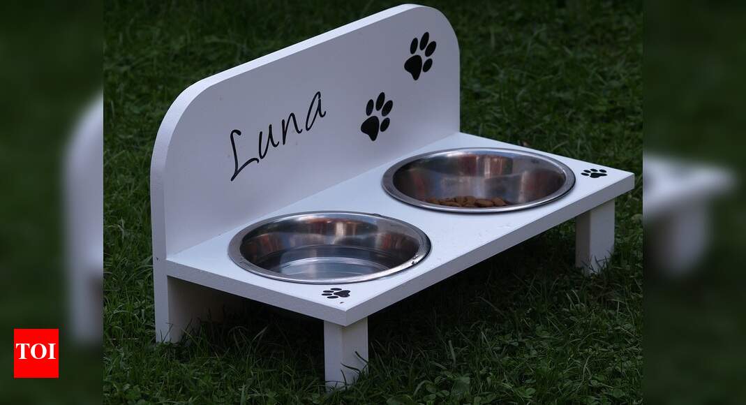 dog bowl sets