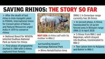 Dudhwa gets 2 newborn one-horned Rhino calves