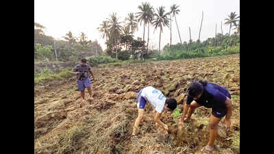 Goa: Chicalim youths turn farmers, to cultivate 20k sqm of fallow land