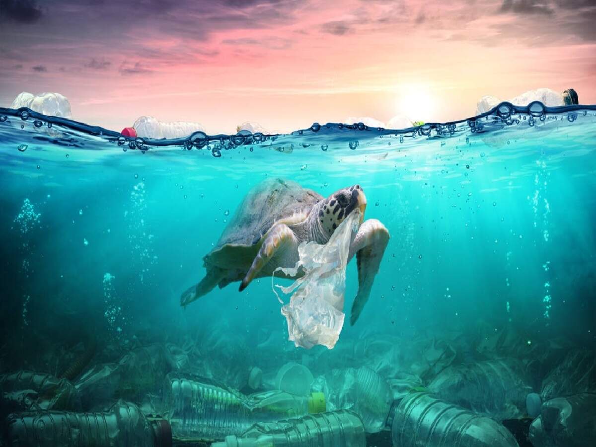 This World Environment Day Reimagine Recreate Restore With Sustainable Solutions Says Sonam Wangchuk Times Of India This World Environment Day Reimagine Recreate Restore With Sustainable Solutions Says Sonam Wangchuk Times Of India