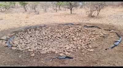 Waterholes go dry in Akola forest, wildlife lover smells a rat