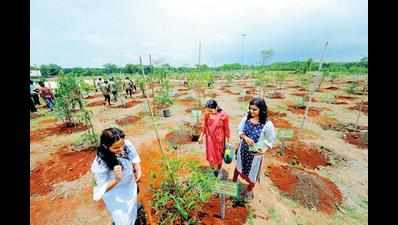 1,200 more trees planted in Mumbai