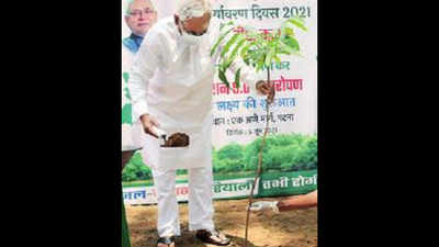 Government to plant 5 crore saplings in 2021-22, says Bihar CM Nitish Kumar
