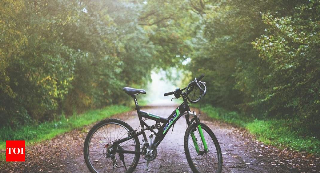 Bicycle for adults Top choices to keep you fit and healthy