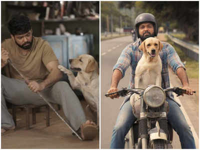 Rakshit Shetty on '777 Charlie': We had a portable swimming pool for the dogs on the sets