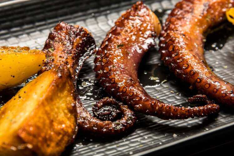 Octopus