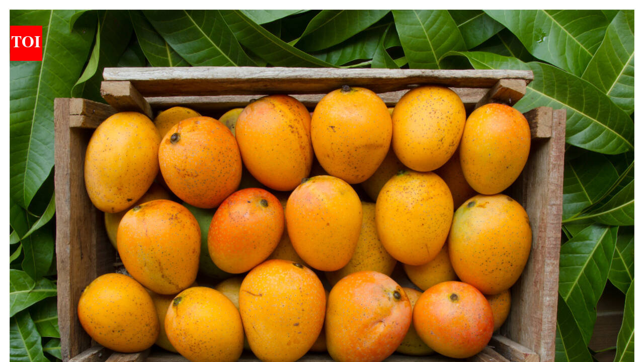 This rare variety of mango can cost you up to INR 1000 per piece