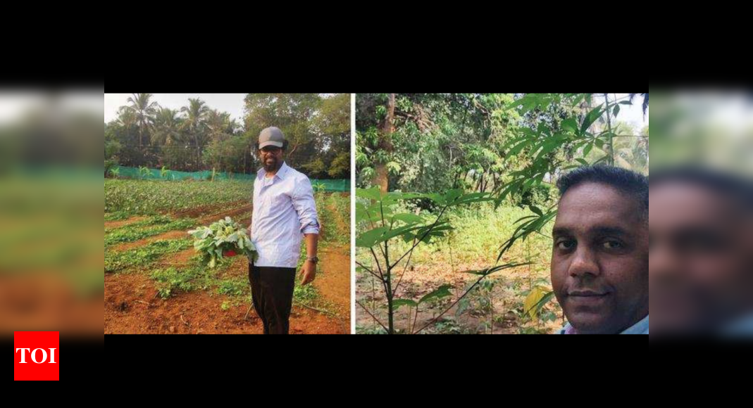 Goa: Lockdown snatched their jobs, turned them ‘ agriculture’entrepreneurs