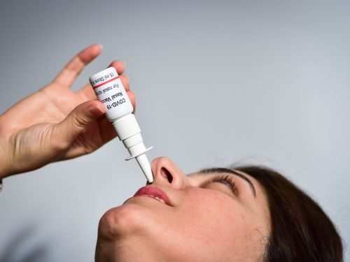 Coronavirus Nasal Vaccines: Will nasal vaccines prove effective against  COVID-19? Here's everything you need to know