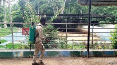 Lockdown effect: Losses mount for zoos, safaris in Karnataka
