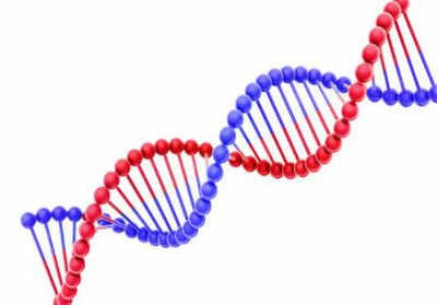 First ‘truly complete human genome’ sequenced; India software plays key role