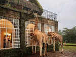 ​Giraffe Manor, Kenya