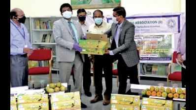 GKVK initiative brings smile back to mango growers in Karnataka