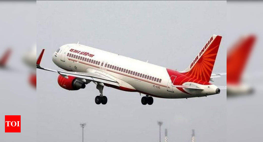 air india cabin bolsa