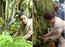 Kangana Ranaut takes part in a tree plantation activity at Mumbai’s Pali Hill area