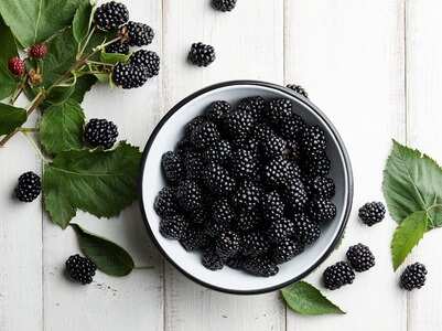 5 black foods to incorporate in your diet