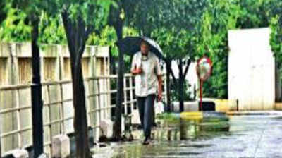 Monsoon makes rapid progress, covers north Maharashtra by June 11