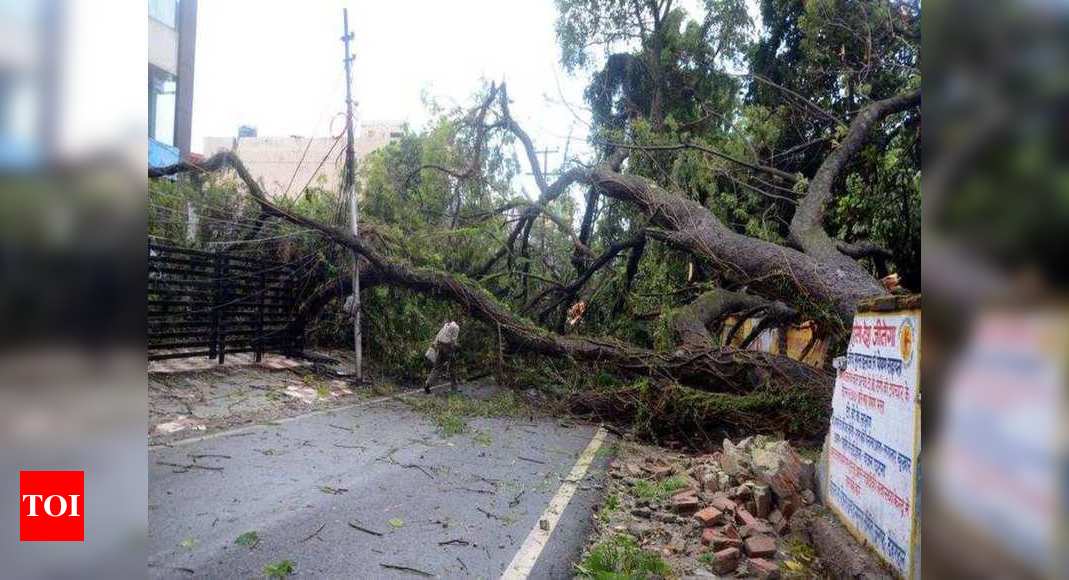 Dehradun: Rain, storm uproot trees in city areas | Dehradun News ...