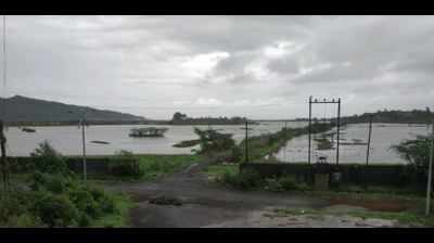 Navi Mumbai: Maharashtra CM responds as choked Panje wetland may lead to flooding of Uran villages