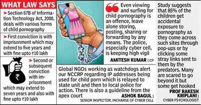 38 cases, 30 arrests in city for child pornography in last eight ...