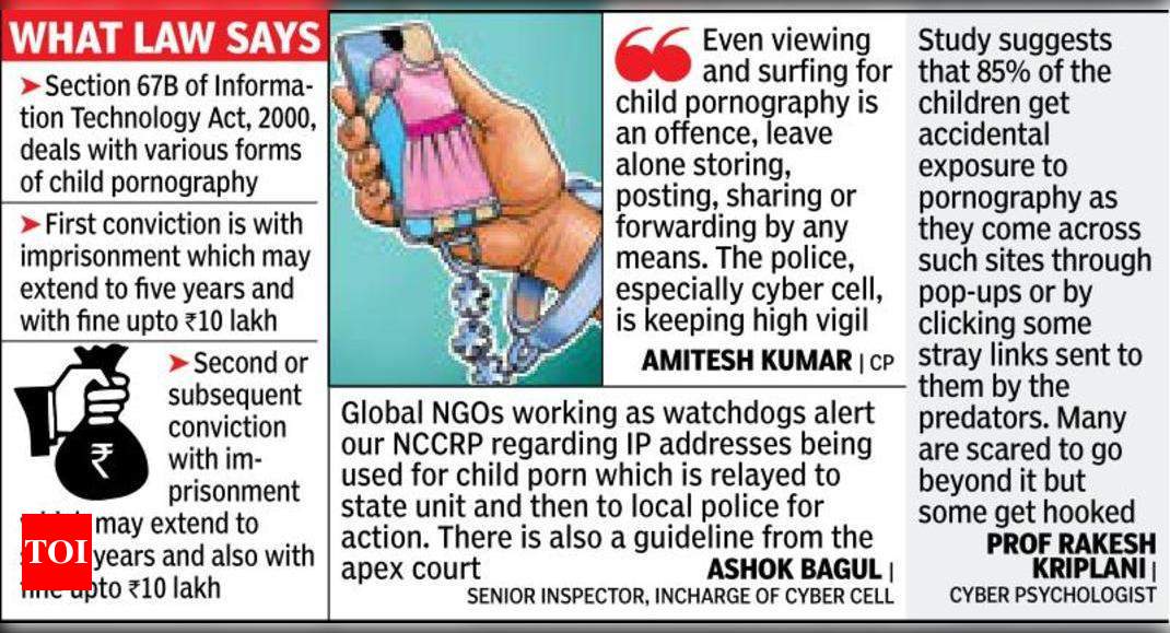 Porn Many Numbers - 38 cases, 30 arrests in city for child pornography in last eight months |  Nagpur News - Times of India