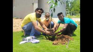 Wife died wanting oxygen, man plants 450 trees to replenish oxygen in Ahmedabad
