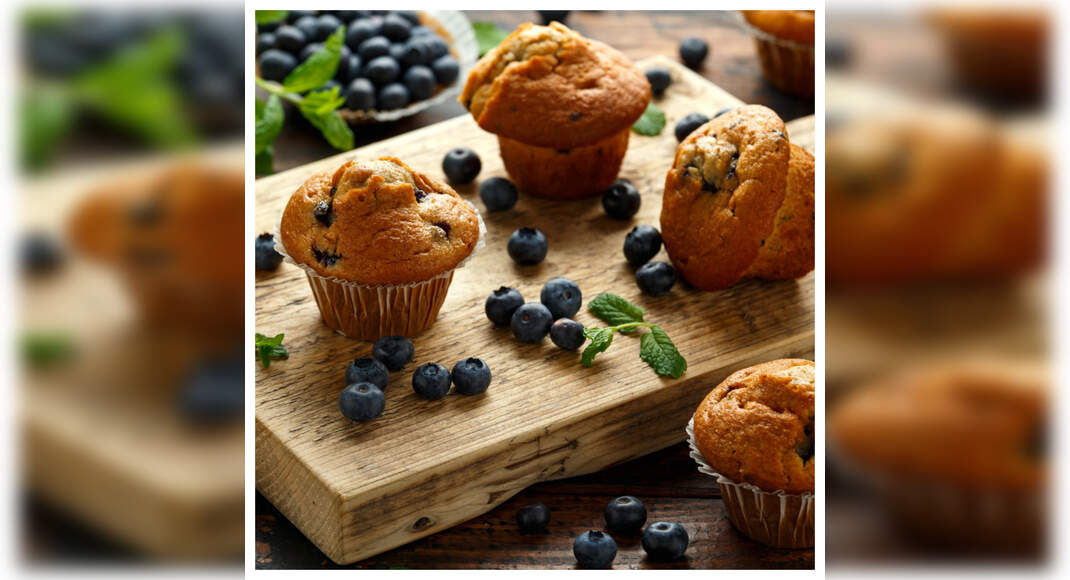 Chocolate and Blueberry Cupcakes Recipe: How to Make Chocolate and Blueberry Cupcakes Recipe | Homem