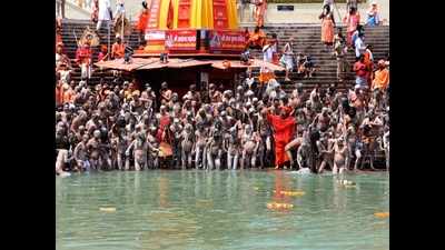 How an LIC agent’s search blew lid off Kumbh Covid test scam