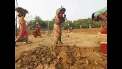 Elderly excluded from MGNREGA scheme struggle for food