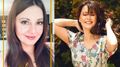 Bigg Boss 8 Minissha Lamba On Her Separation Divorce With Husband