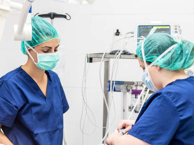 Doctors diagnose the first case of Green Fungus (Aspergillosis) in India