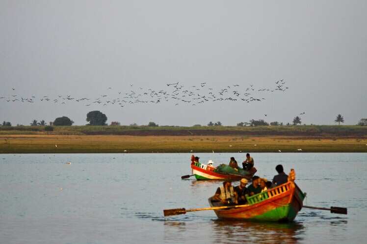 Bhigwan Bird Sanctuary