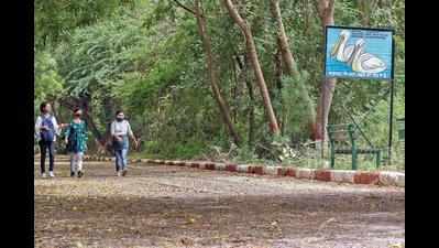 Campsite at Okhla sanctuary to be ready by June end: DFO