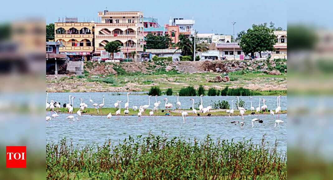 Telangana HC bars constructions within Ameenpur FTL, buffer zone