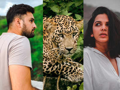 Jaguar spotted in the backyard of Siddharth Chandekar and Mitali Mayekar's Mumbai residence; the actor says, "He was just staring at us, this is his home"