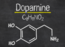 Dopamine: What is it and how does it impact our body?