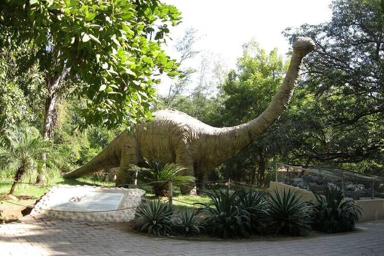 Indroda Dinosaur and Fossil Park, Gujarat