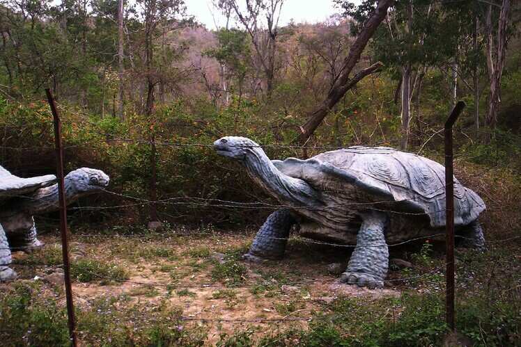 Shivalik Fossil Park, Himachal Pradesh