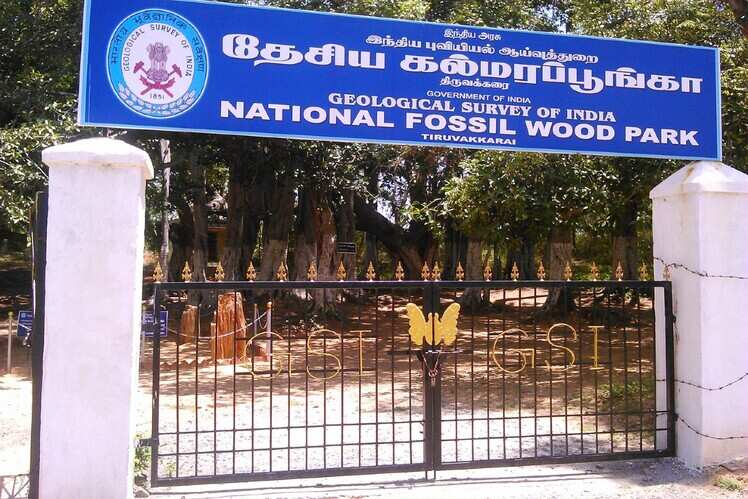 The National Fossil Wood Park, Tamil Nadu