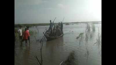 UP: NDRF rescues 100 people stranded on boat in Narayani river in Kushinagar