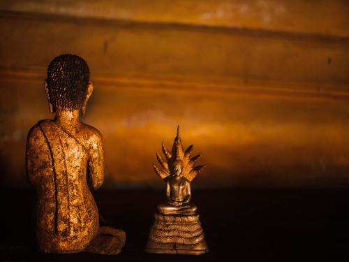Buddha Statue Vastu Tips: 7 vastu recommended places to keep a Buddha statue  at home